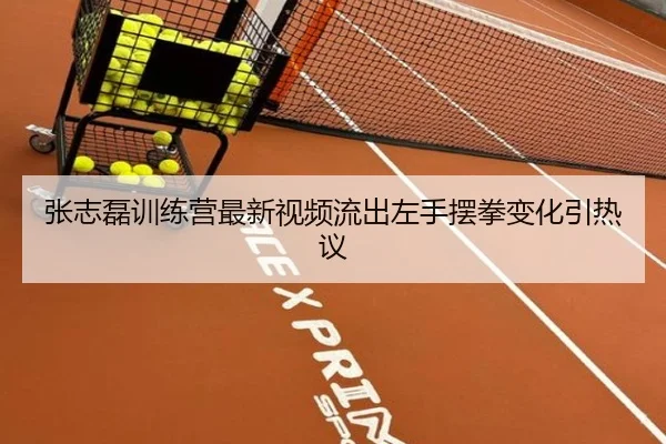 张志磊训练营最新视频流出左手摆拳变化引热议